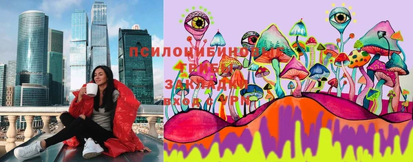 ПСИЛОЦИБИНОВЫЕ ГРИБЫ Заречный