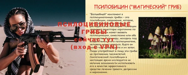 apvp Богданович