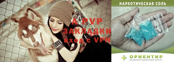 apvp Богданович
