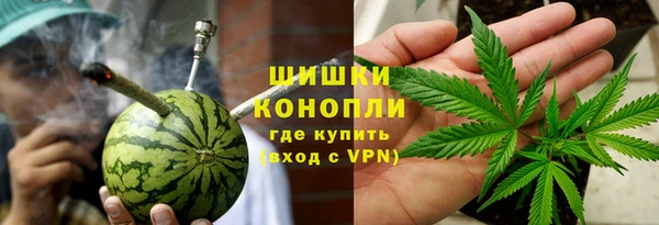 стафф Бородино