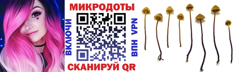 Галлюциногенные грибы мухоморы  KRAKEN ССЫЛКА  Великие Луки  купить наркотик 