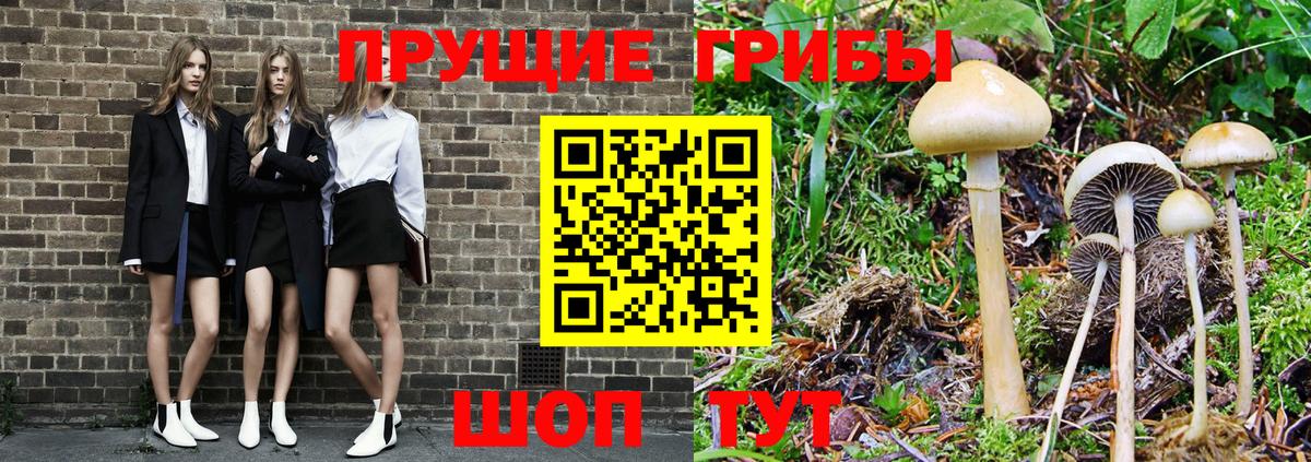 Великие Луки  Псилоцибиновые грибы Psilocybine cubensis  Вход с VPN 