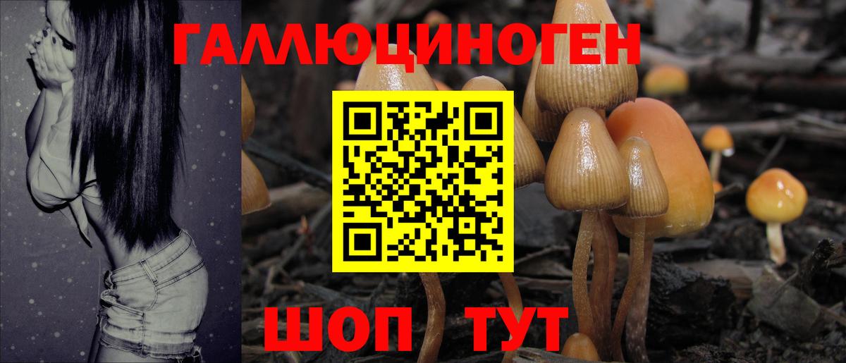 Галлюциногенные грибы Cubensis Великие Луки